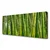 tulup.si Slika na platnu Bamboo poganjki bamboo forest 120x60 cm