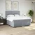 vidaXL Box spring postelja z vzmetnico svetlo siva 200x200 cm blago