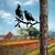 Aberto Design Dekorativna figura Bird On The Branch 09, 45x39 cm, 1.5 mm