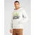 Superdry Majica Great, siva