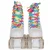 Cangaroo Rolšue donna s (31-37) ( CAN8071 )