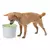 Fountain CATIT Novo - 3 l