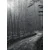Fototapeta črno-bela pot v gozd - 196x270