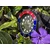 Casio Sport MRW-230H-1E2VEF (005)