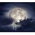 shumee Steklena zaščitna plošča ZA štedilnik 60x52 luna