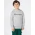 Champion Authentic Athletic Apparel Majica pegasto siva/črna