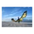 North ORBIT Kite 2025 - 218 Sunset Yellow
