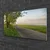 tulup.si Steklena slika Way tree grass landscape 125x50 cm 4 obešalnika