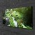 tulup.si Slika na platnu Stream grass nature rastlin 100x50 cm