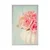 Plakat vrtnice v vazi - 40x60 black