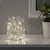 LEDFYR LED lanac s 24 svetla, u kući srebrna