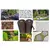 sarcia.eu Rjava agrovlakna 1,6 m 100 g/m2 z UV 35 m
