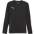 Puma Dres z dolgimi rokavi teamGOAL Jersey LS M