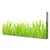 tulup.si Slika na platnu Grass nature rastlin 125x50 cm