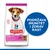 Hills Science Plan Small & Mini Puppy Hrana s Jagnjetinom i Pirinčem, 1,5 kg