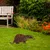 Aberto Design Dekorativna figura Badger -A 01, 32x45 cm, 1.5 mm