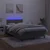 vidaXL Box spring postelja z vzmetnico LED temno siva 120x200 cm žamet