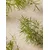 NEW Tea Tree Skin Clearing Facial Wash 250 ML