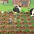 SWITCH Story of Seasons - Pioneers of Olive Town