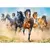 Trefl puzzle Galloping herd of horses 2000 delova