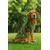 Paws & Whiskers Odelo za pse Askersweat, Kaki