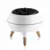 Difuzer Flame JellyFish beli