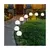 LED solarna lampa LED/1,2V 6500K 200 mAh prečnik 20 cm IP44 bela/crna