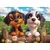 Castorland - Puzzle Srečni dachshundi - 40 - 99 kosov