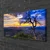 tulup.si Slika na platnu Drevo sunset 100x50 cm