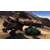 MotorStorm (PS3)