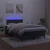 vidaXL Box spring postelja z vzmetnico LED črna 120x190 cm žamet