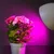 LED sijalica za rast biljaka PLANTY E27/11W/230V 1200K bela