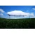 Paviljon za zabave 4x8m - plus 3 stene - Modra