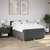 vidaXL Box spring postelja z vzmetnico temno siva 160x200 cm blago