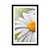 Plakat s paspartujem cvetovi ivanjščice - 20x30 silver