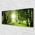 tulup.si Slika na platnu Sun forest narava pot 120x60 cm