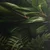 Slika tropski listi v polmraku - 90x60