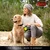 Flexi Pas Leash Neon M 5m črno-modra