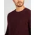 Polo Ralph Lauren Pulover 710876762011 Bordo rdeča Regular Fit