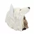 Dekoracija Night Wolf - U3534J7