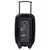 BLAUPUNKT Bluetooth karaoke zvučnik PA12 PA12 crni