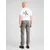 LEVIS Kavbojke 501, siva