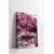 Slika Wallity Ersyfdc255, 40x60 cm