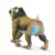 Safari Mandril