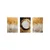 WALLXPERT Dekorativna uramljena MDF slika (3 komada) Mp3 00109 21 x 30