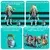 PLAYMOBIL Monster High Lagoona Blue™ - 71998 - 1 k.