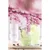 Kozarci v kompletu 6 ks 400 ml – Hermia
