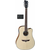 VGS elektro akustična kitara RT-10CE ROOT NATURAL SATIN