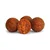 Beljakovinske kroglice Euro Boilies 22 mm/10 kg koruze
