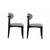 HANAH HOME Set 2 stolice Lionte Grey Black